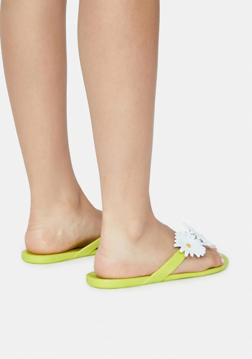 Altoona Sandal